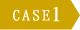 CASE1
